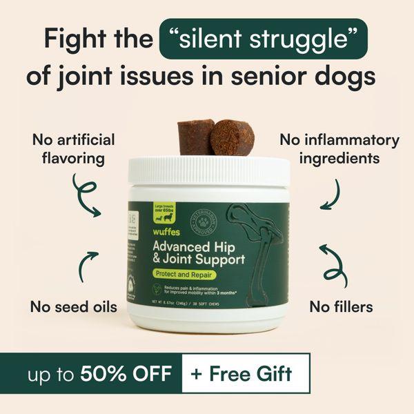 A square-format static ad highlighting the benefits of a Joint Support supplement for senior dogs with clean, high-contrast imagery.